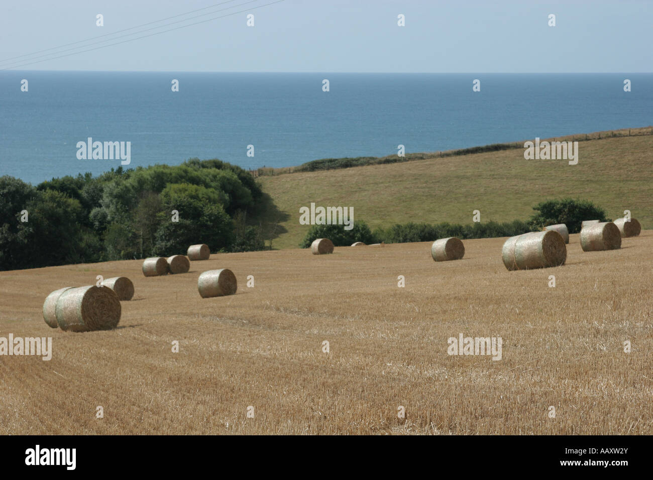 bales hay hill dorset countryside, england, uk Stock Photo Alamy