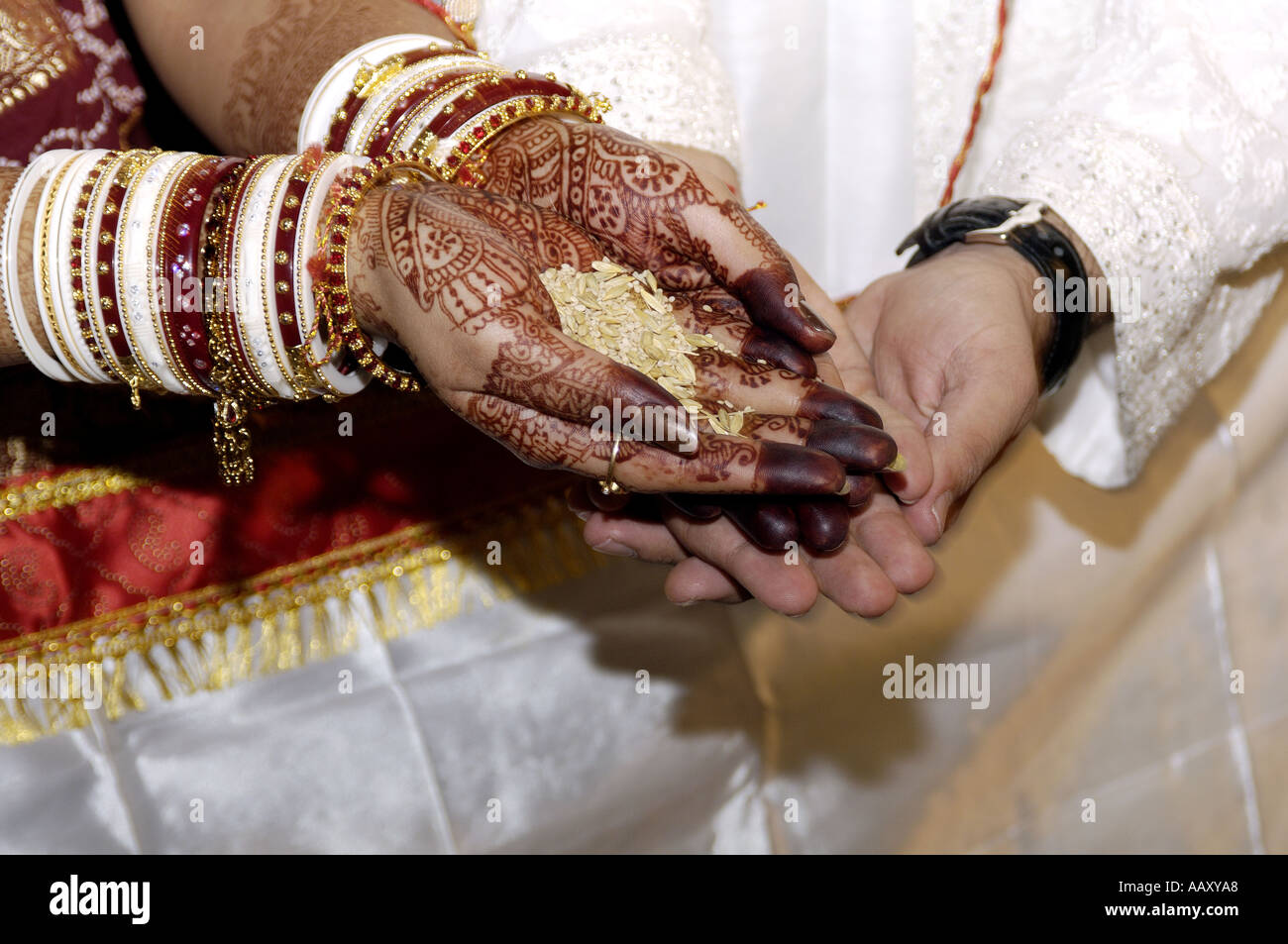 100 Indian Wedding Pictures HD  Download Free Images on Unsplash