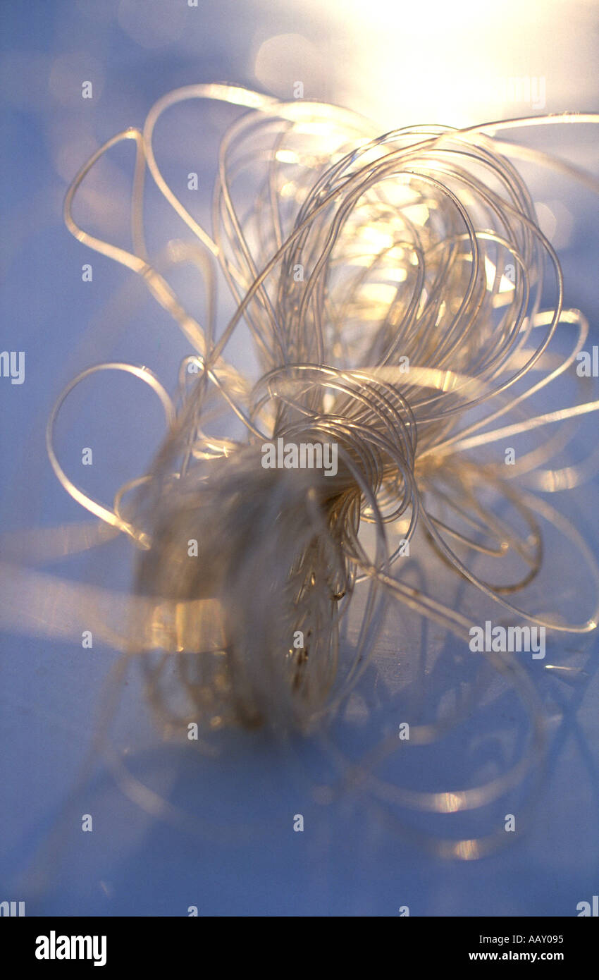 TANGLED FISHING LINE Stock Photo Alamy