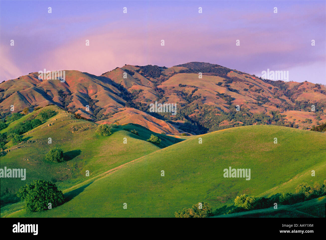 Mount Diablo turning red at sunset in the California foothills