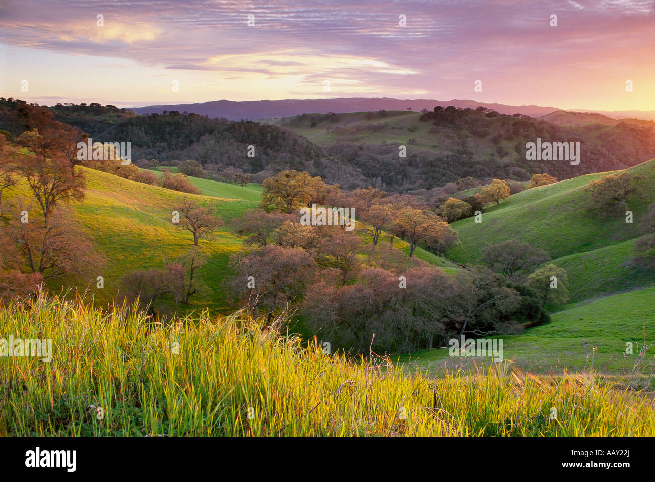 Rolling Green Hills and valley at Sunset on Mount Diablo state park California horizontal Stock Photo
