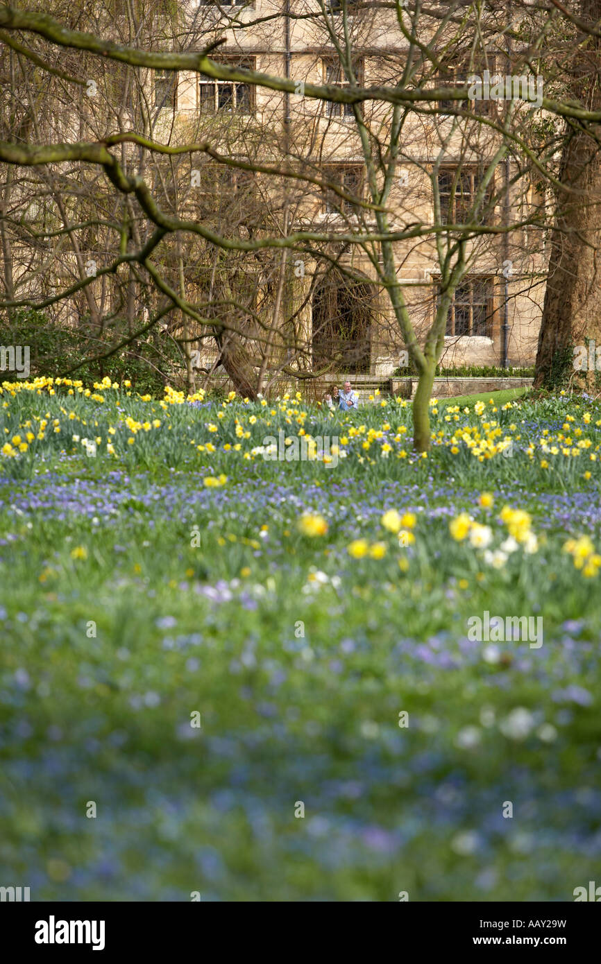 Cambridge spring flowers Stock Photo Alamy