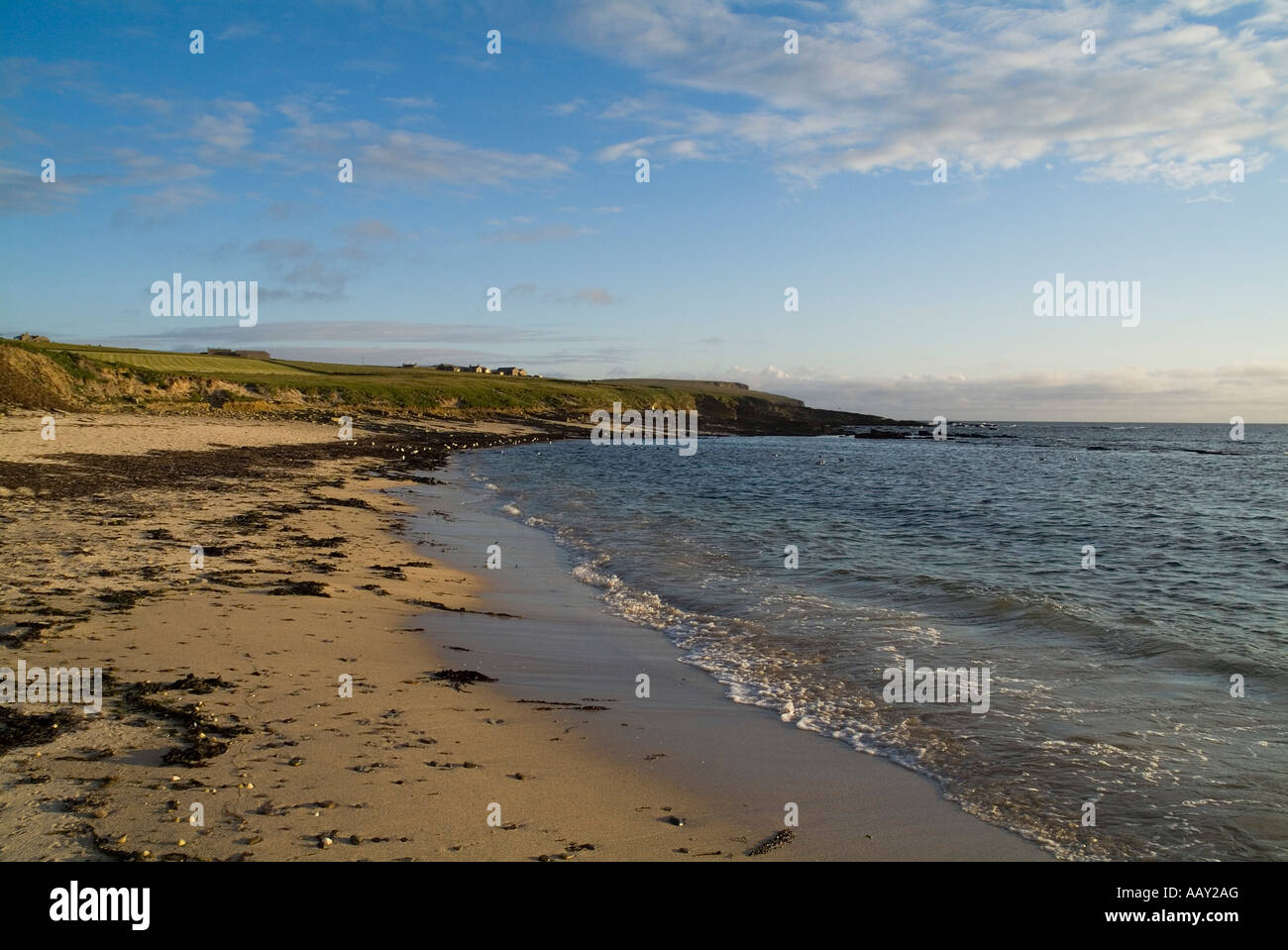 dh Birsay Bay BIRSAY ORKNEY Sandy beach evening light seashore sea coast line dusk Stock Photo