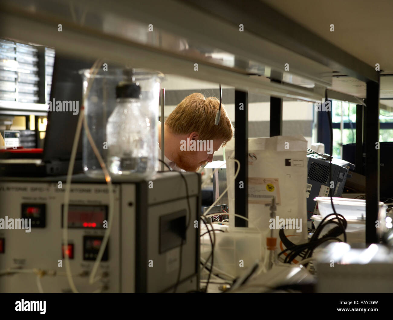 Scientist working in a laboratory Stock Photo