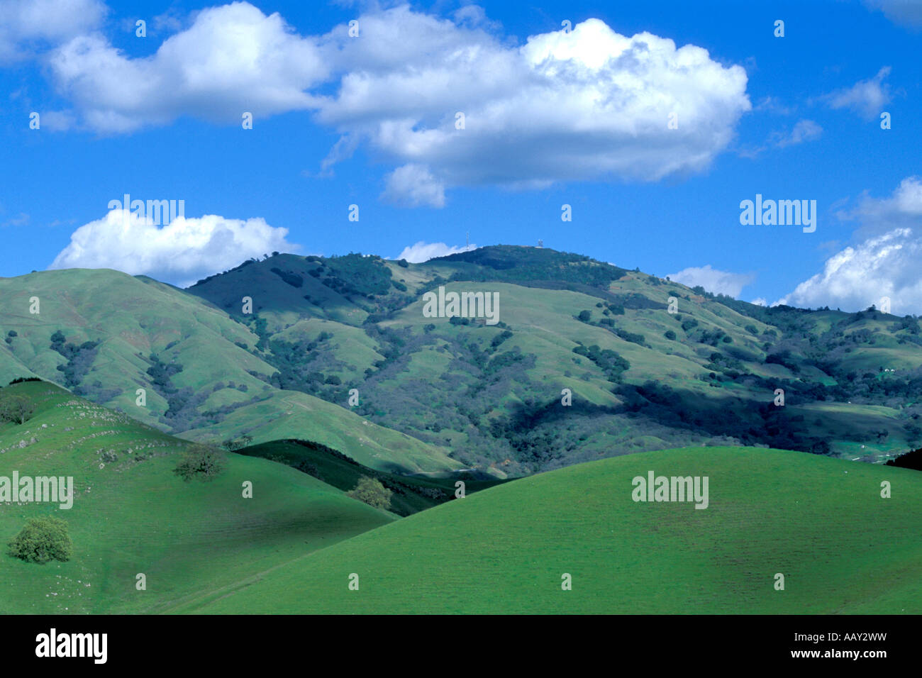 clean air over green hills in danville california showing mount