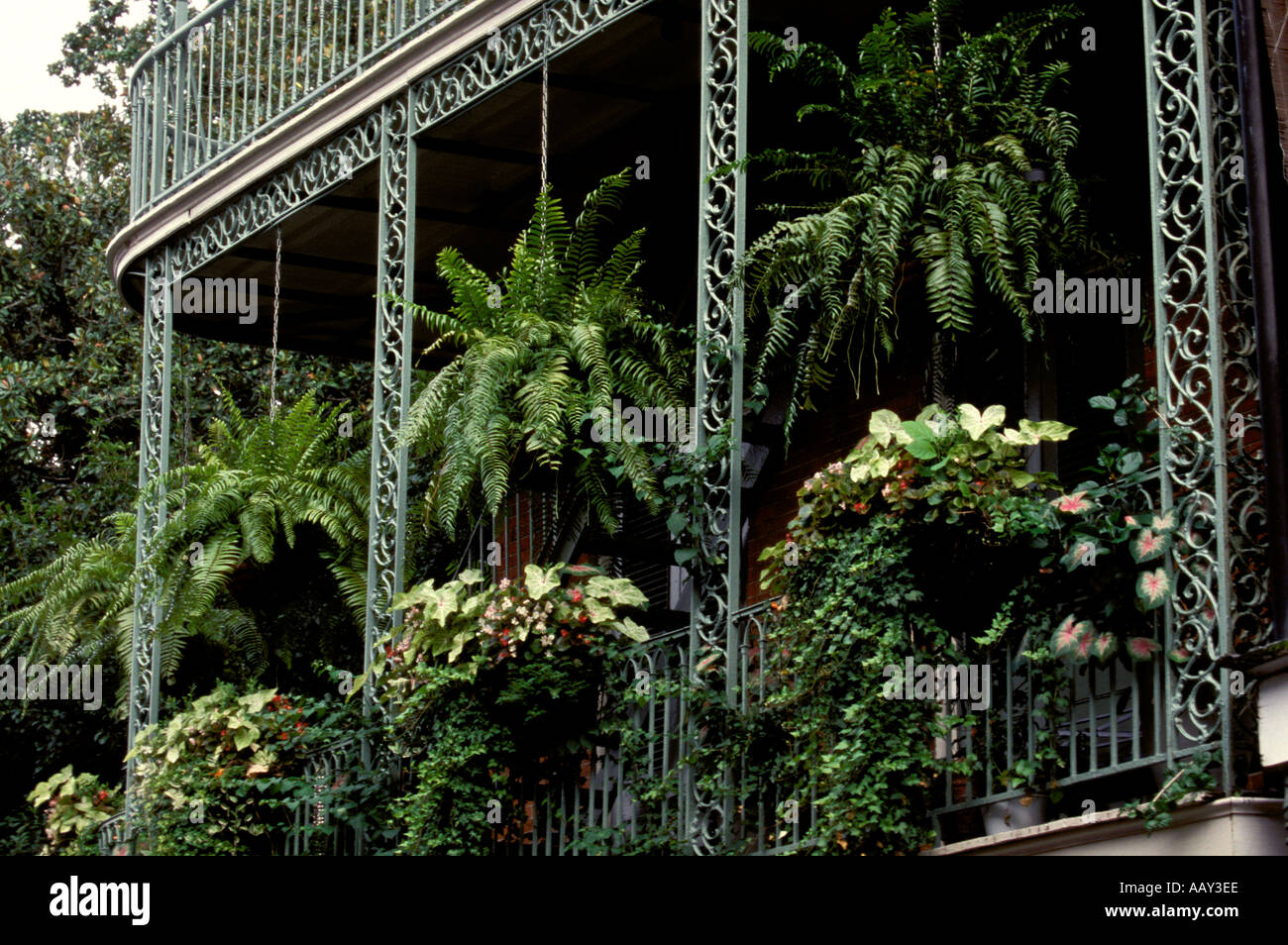 New Orleans Balcony and Hanging Flower Planters 2 Stock Photo Alamy