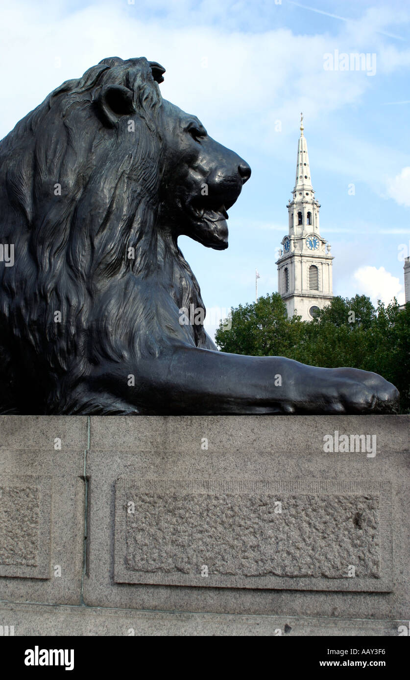 Lion statue in Trafalgar Square in London Stock Photo - Alamy
