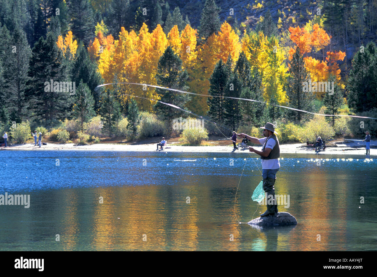 Fly Rods - Mountain Man Outdoors