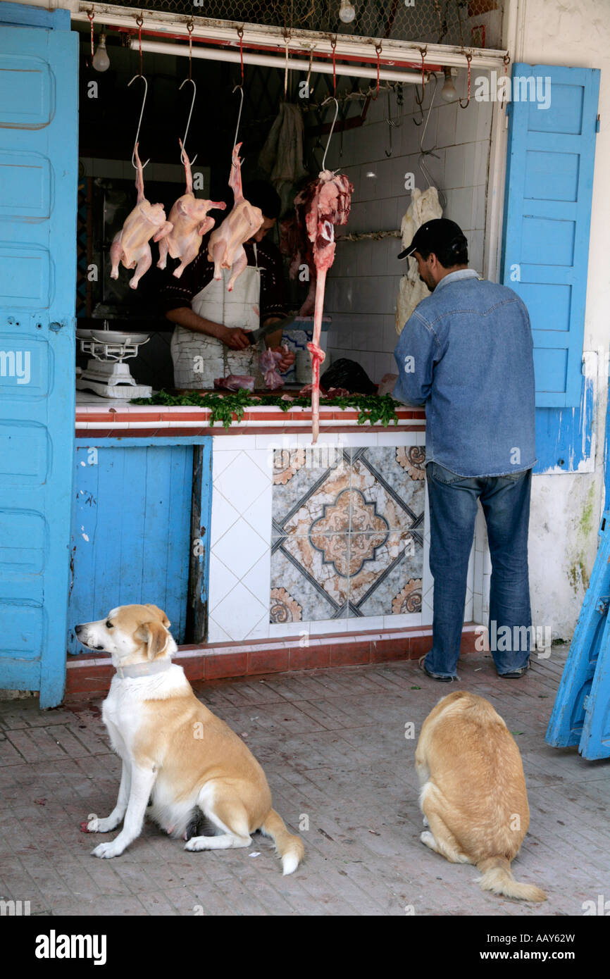 Meat dog store sales