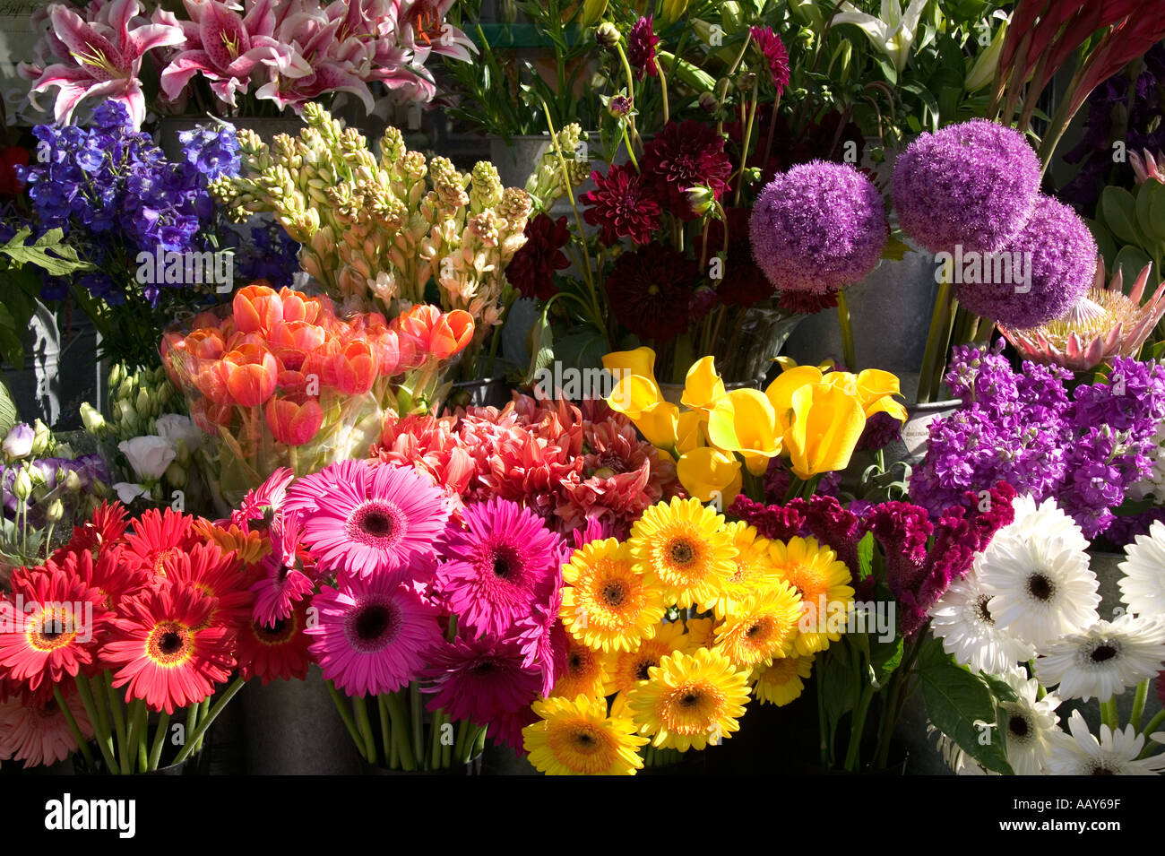 Assorted flowers at flower stand San Francisco California Stock Photo