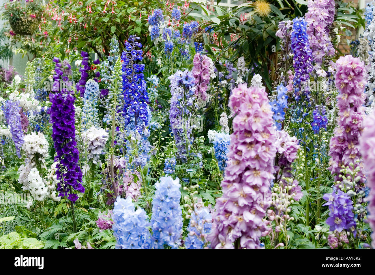 The wintergarden auckland hi-res stock photography and images - Alamy