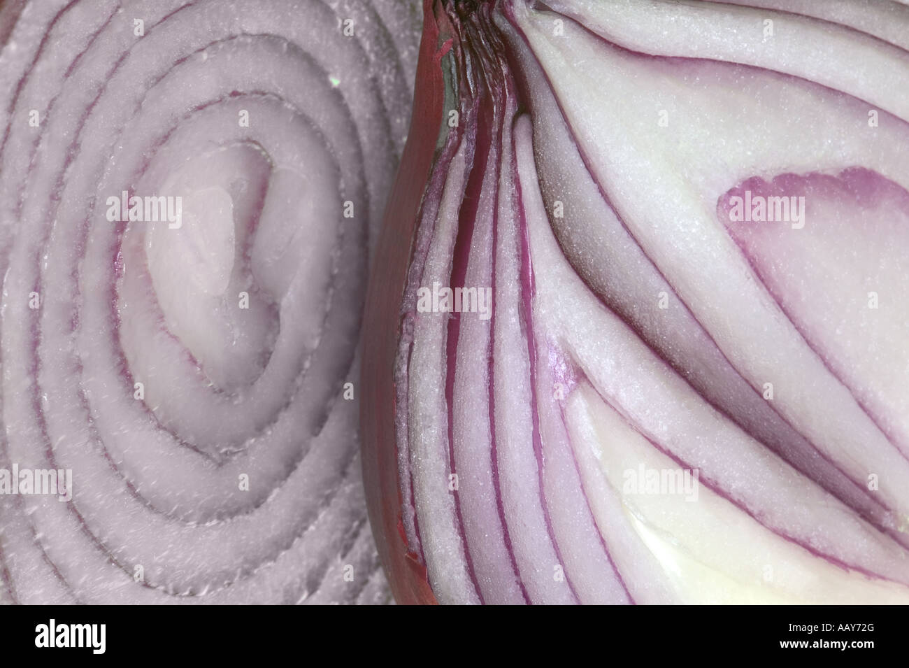 Onion layers hires stock photography and images Alamy