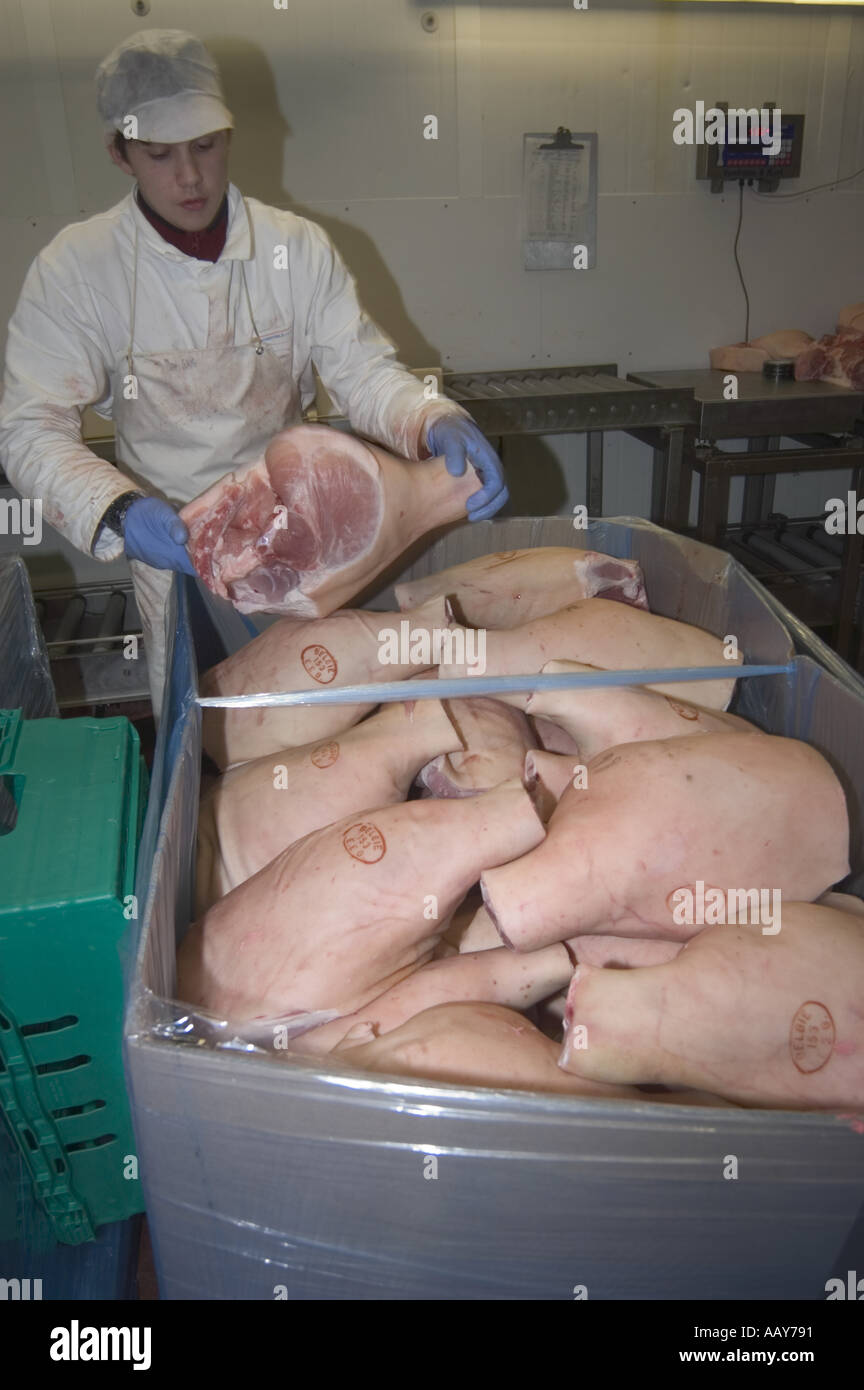 Red Meat processing factory  All pictures taken with concent of owner Stock Photo