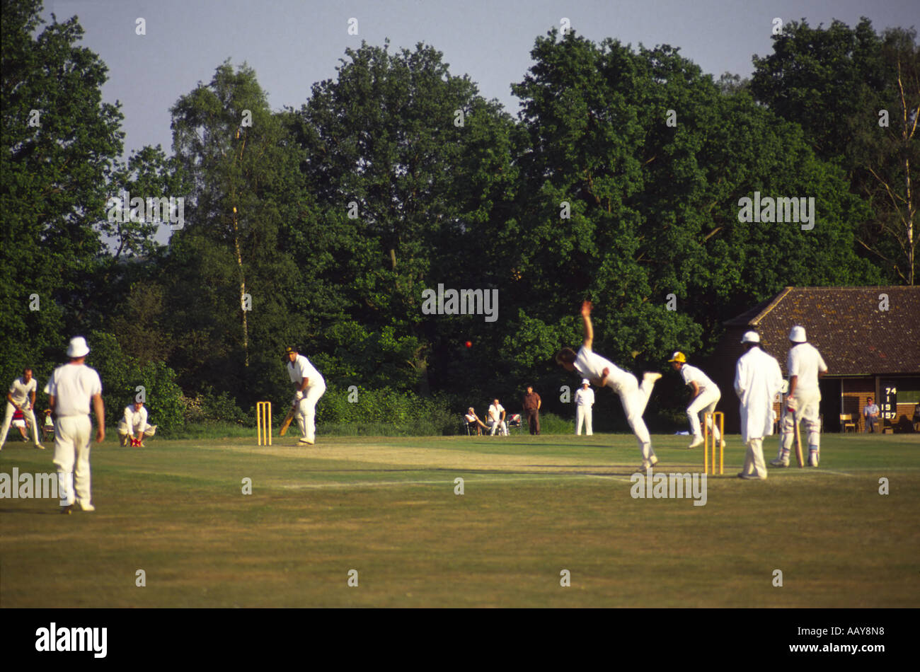 UK england Hampshire village cricket match Stock Photo Alamy