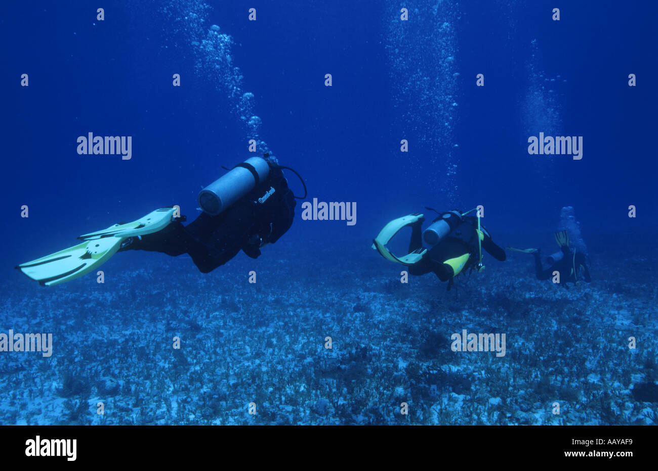 Scuba diving : Mexico, Cozumel Island, Santa Rosa, Three Divers And Their Bubbles Swimming Group Stock Photo