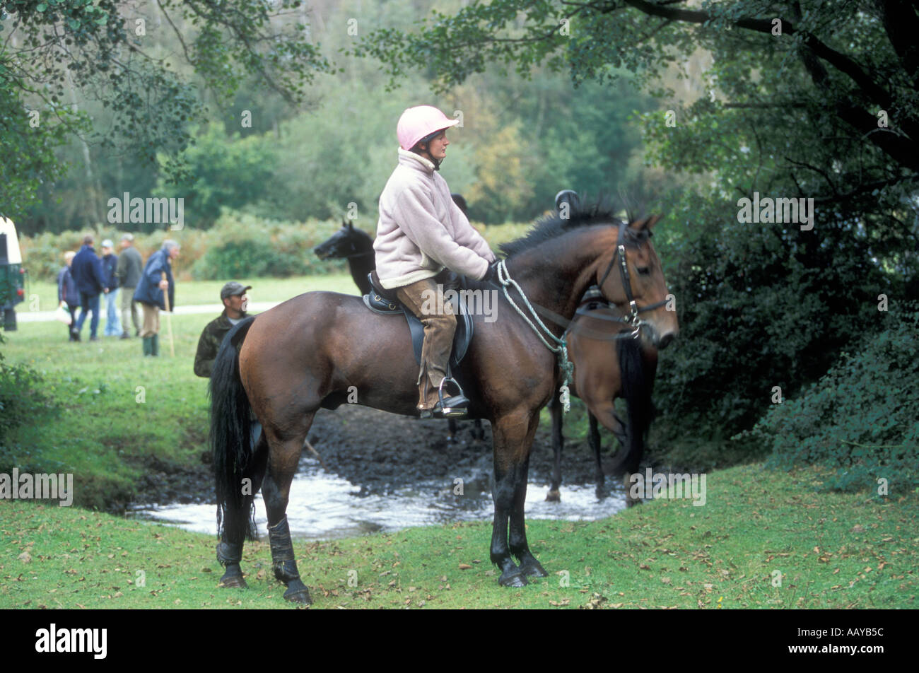 A horse rider in the New Forest Stock Photo