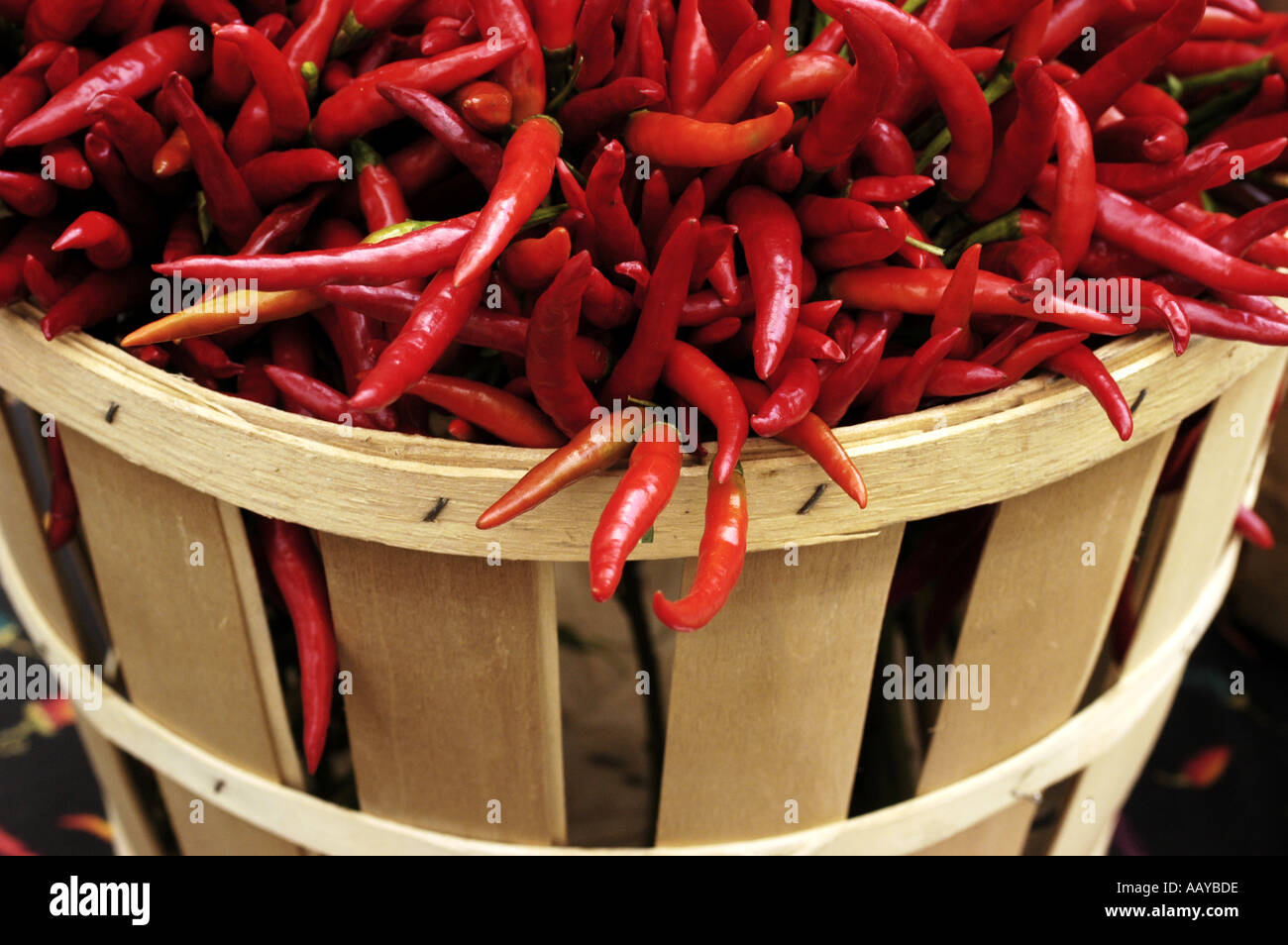Bundle Of Chillies High Resolution Stock Photography and Images - Alamy