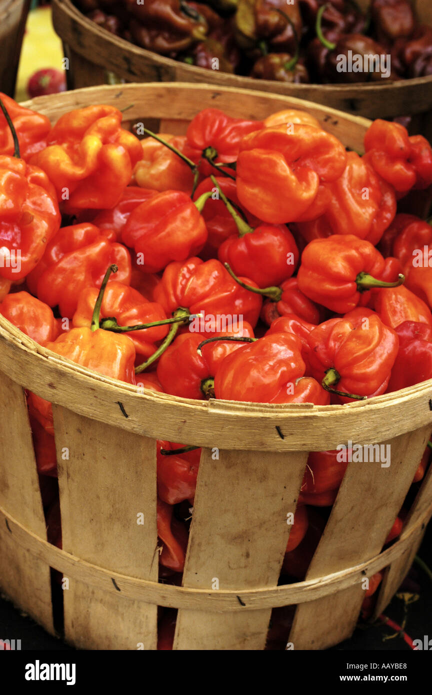 Union square farmers market plants hi-res stock photography and images ...