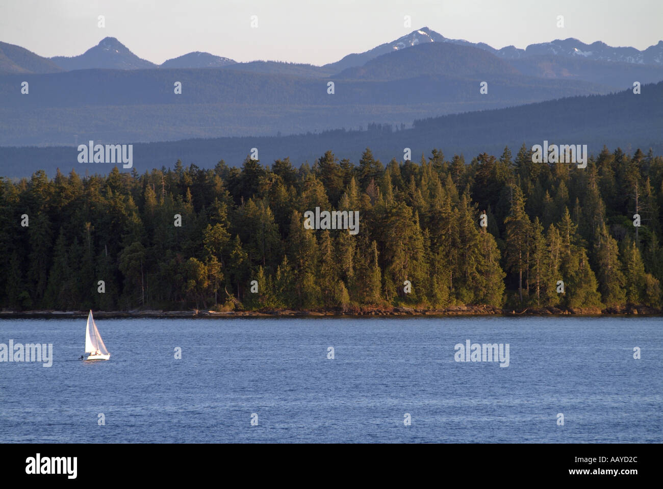 Sailboat and the Mountains of Vancouver Island Nanaimo The Harbour City