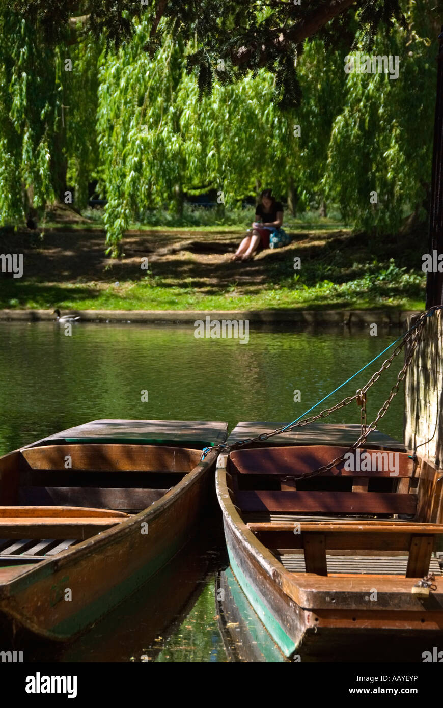 Punts on the Cam Stock Photo