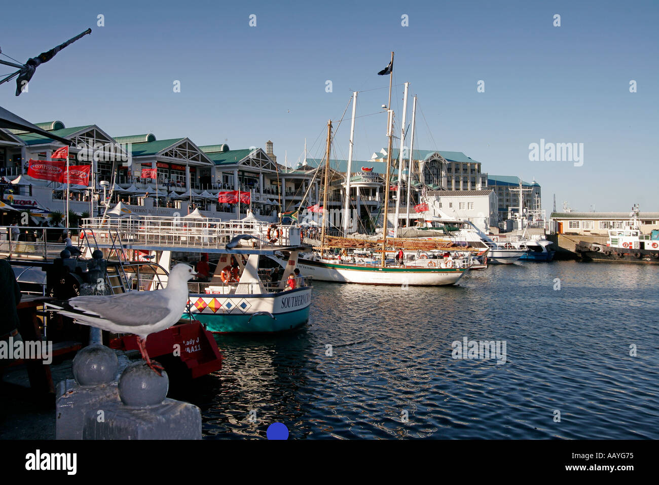 south africa cape town Victoria Albert waterfront pier Stock Photo