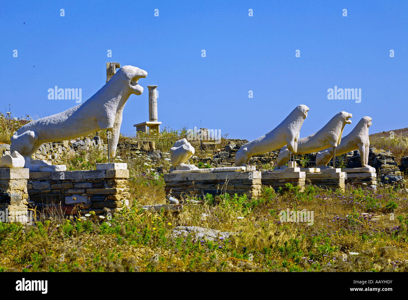 The Lions of Delos Cyclades islands Stock Photo