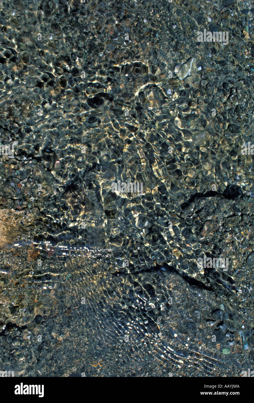 Abstract patterns on rocks in st ives hi-res stock photography and ...