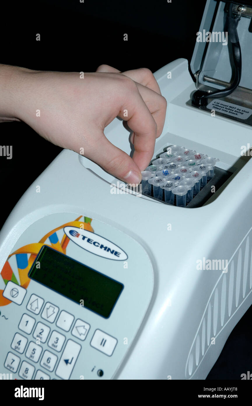 Hand loading a tube of DNA into a thermal cycler for PCR and DNA fingerprinting Stock Photo