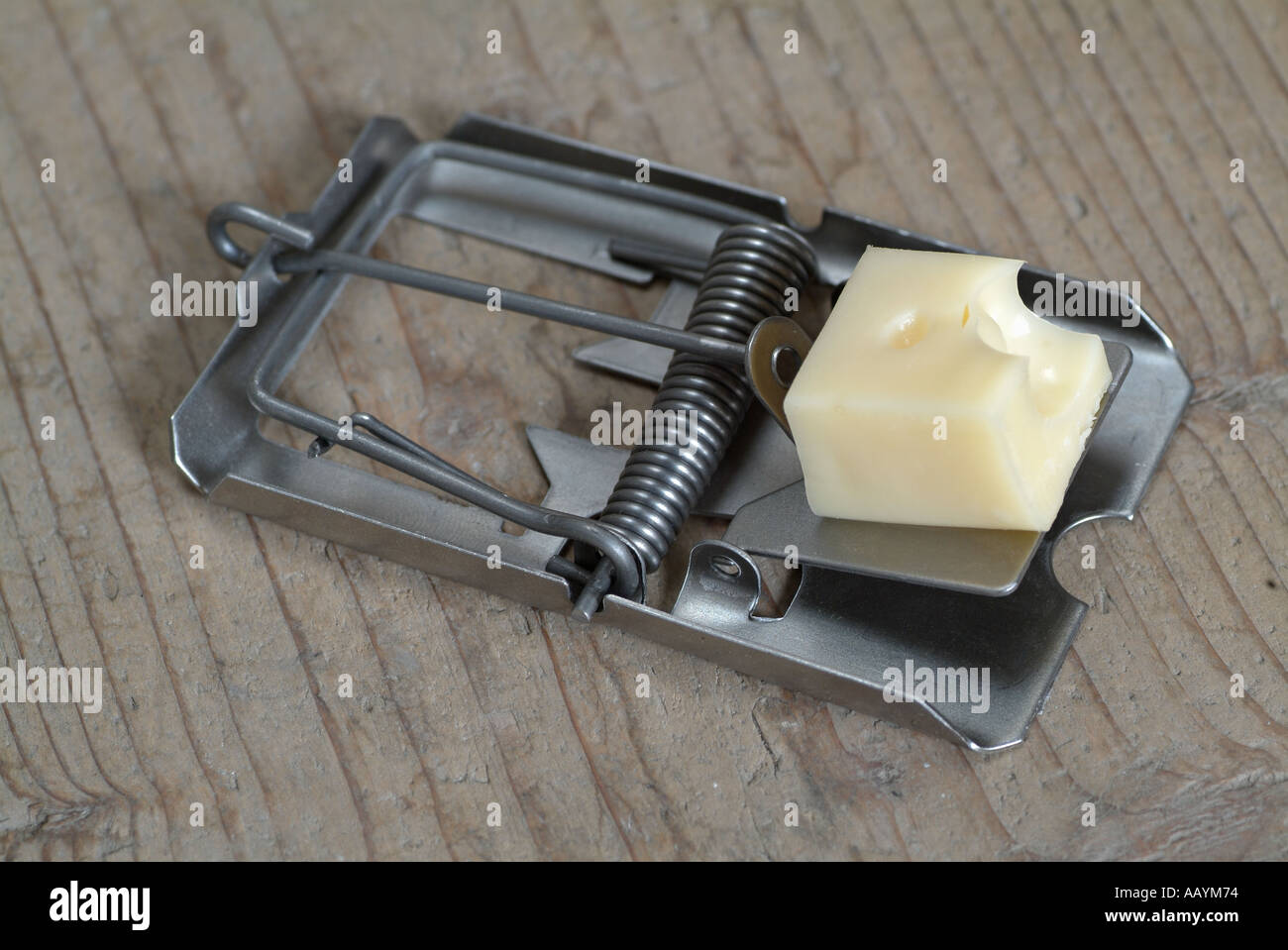Mouse Trap Baited with Cheese Stock Photo