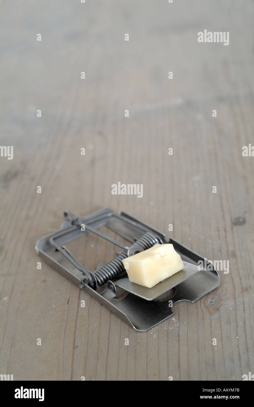 https://c8.alamy.com/comp/AAYM7B/mouse-trap-baited-with-cheese-AAYM7B.jpg