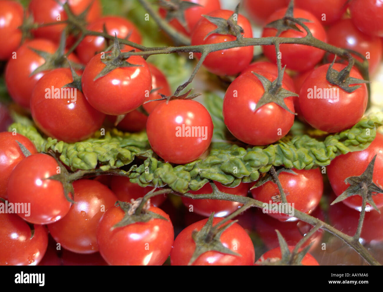 Cherry Tomatoes Stock Photo