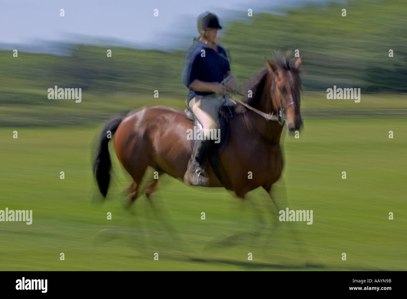 Girl rider riding horse slow hi-res stock photography and images - Alamy