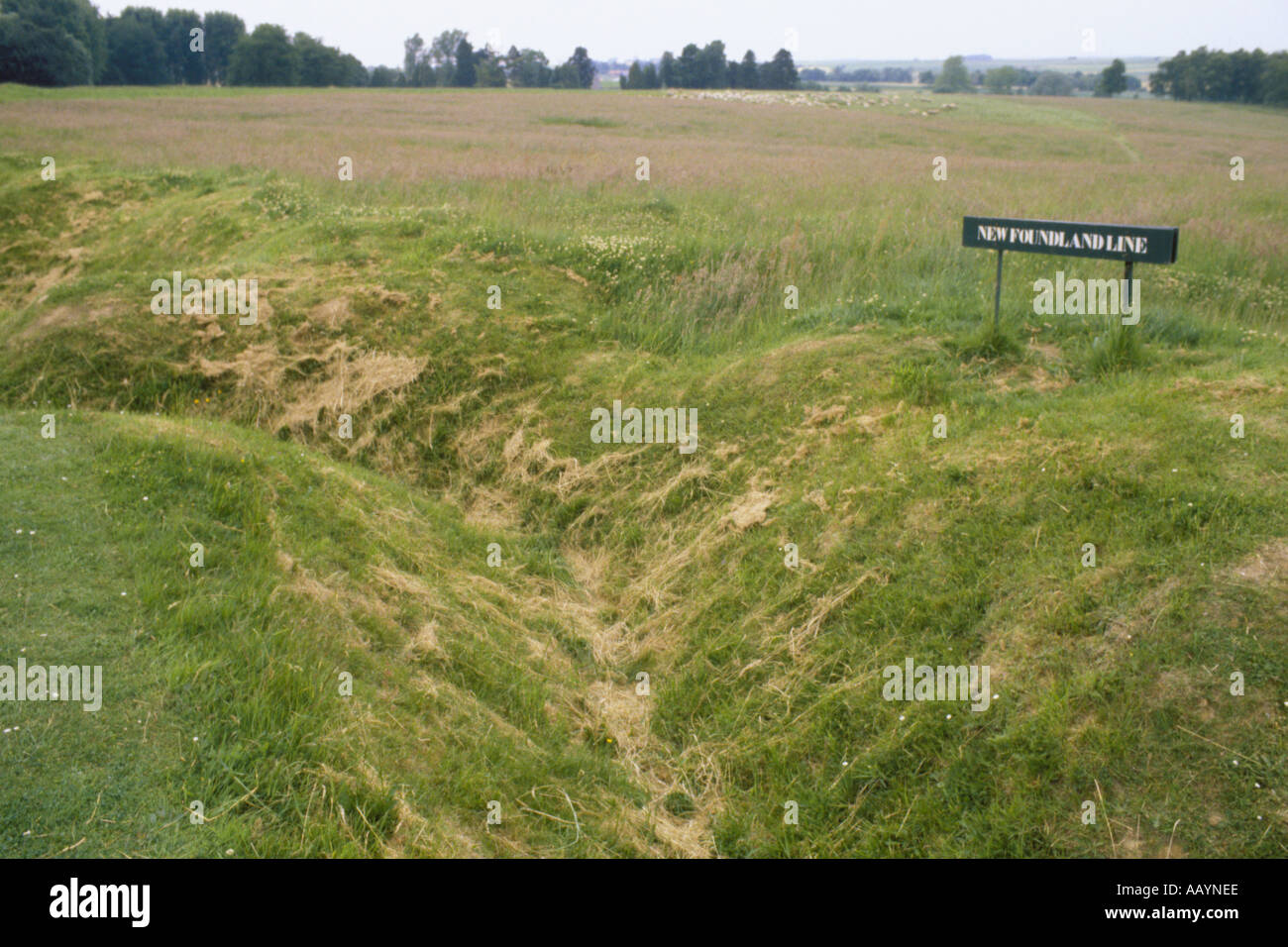 First World War Battle of the Somme trenches at Beaumont Hamel Newfoundland Battlefield Memorial Park JMH0790 Stock Photo