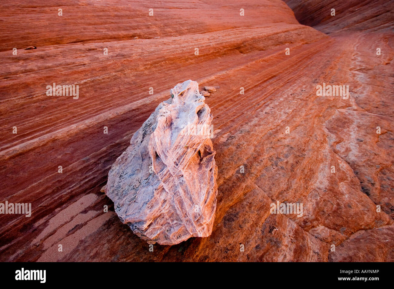 Geological Features in the Paria Wilderness of Arizona Stock Photo Alamy