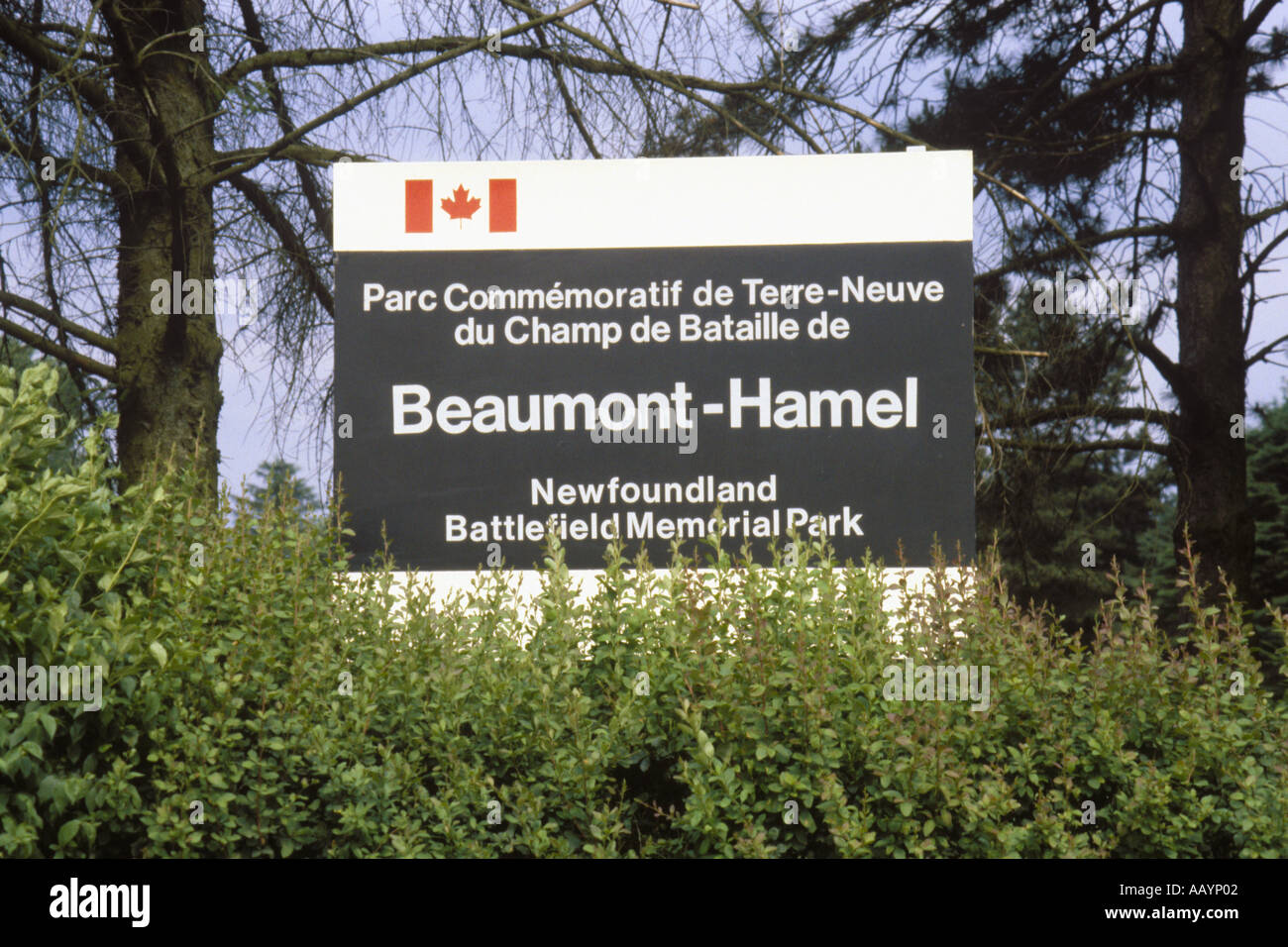 Sign at First World War Battle of the Somme trenches at Beaumont Hamel Newfoundland Battlefield Memorial Park JMH0793 Stock Photo