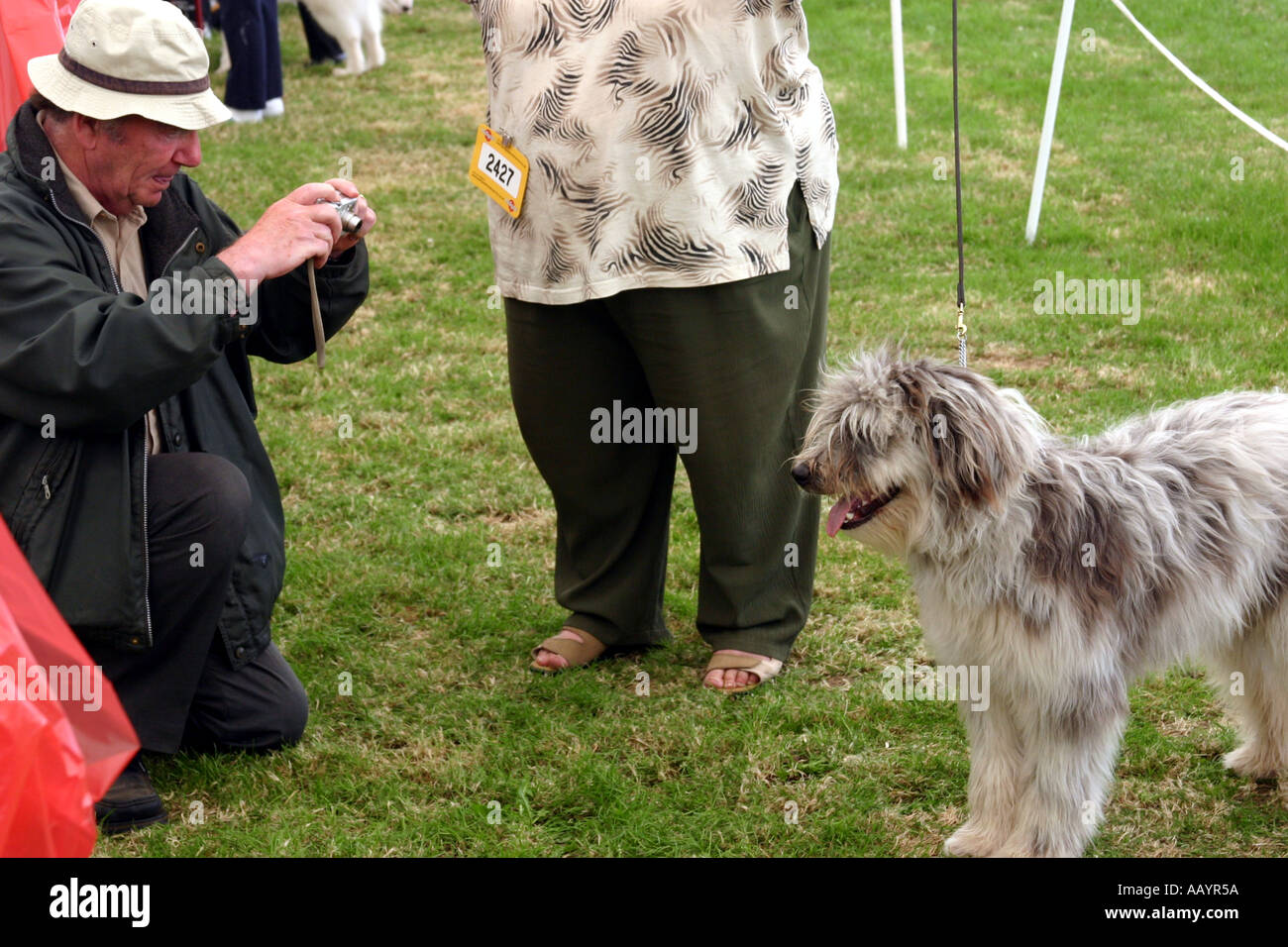 Woman show hires stock photography and