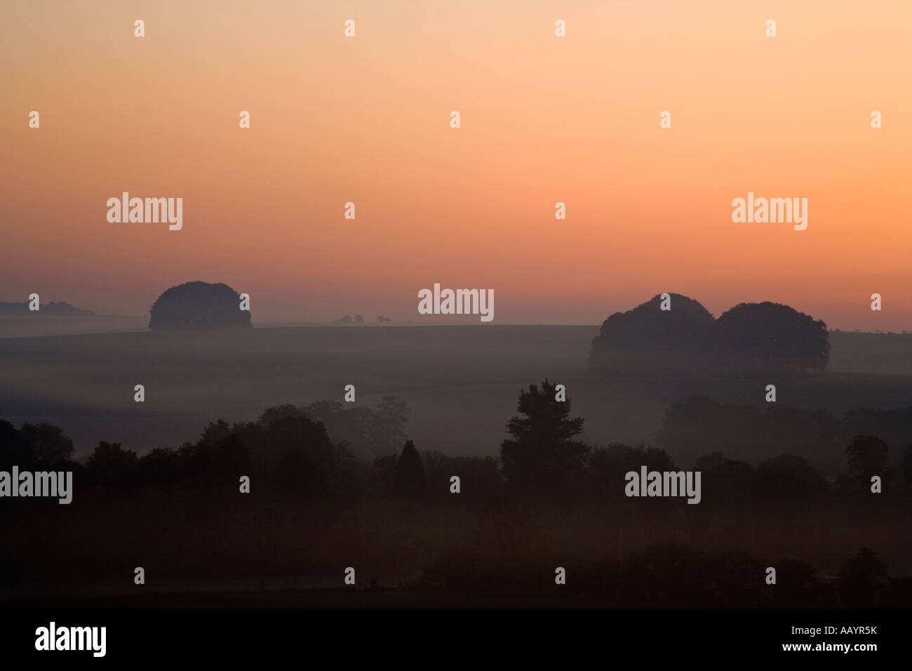 Misty dawn with orange sky. Stock Photo