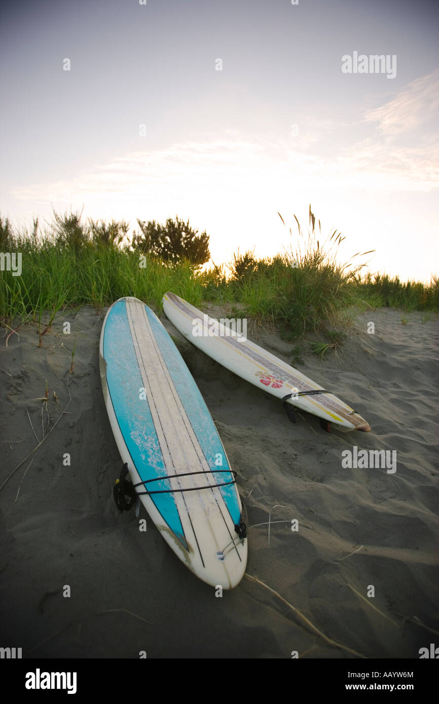 Surfboards in the sand Stock Photo Alamy