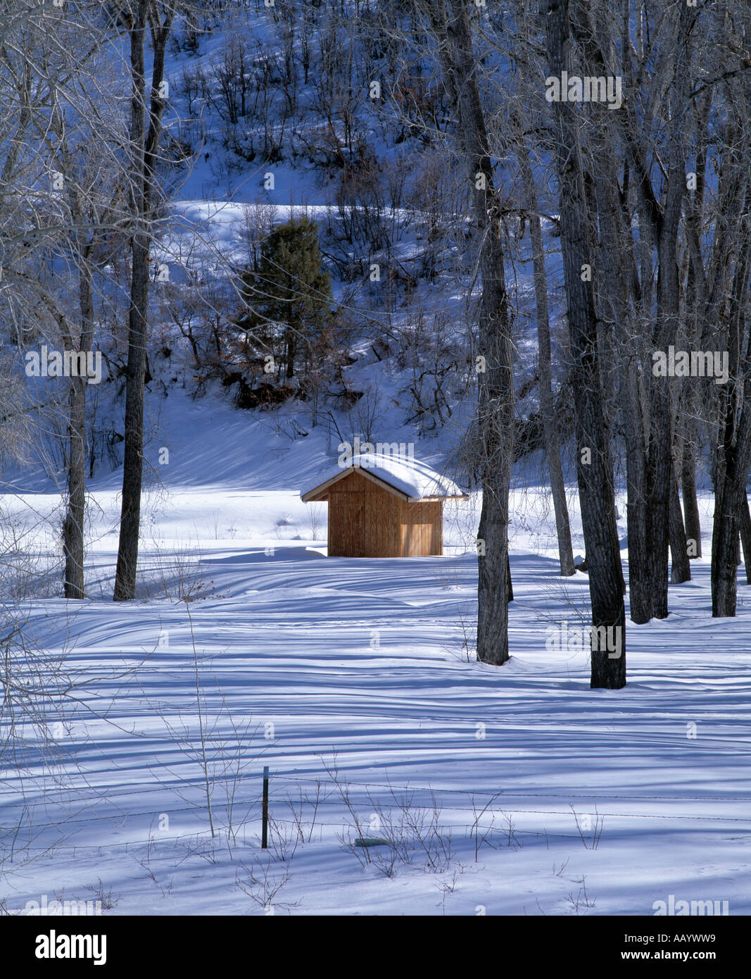 snow covered landscape with wooden hut set between trees Stock Photo ...