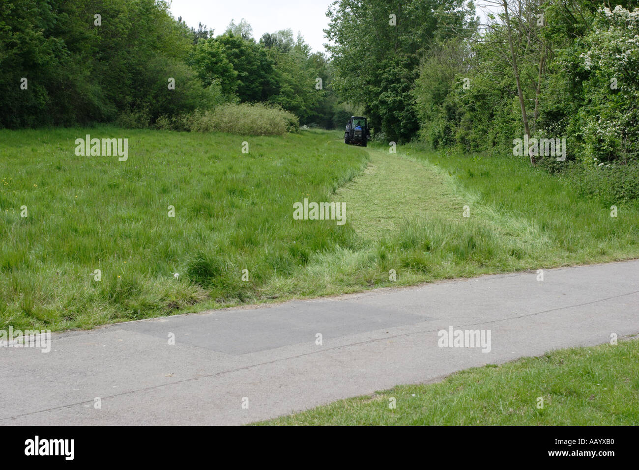 Tractor cutting grass in large field cyclepath in foreground Stock ...