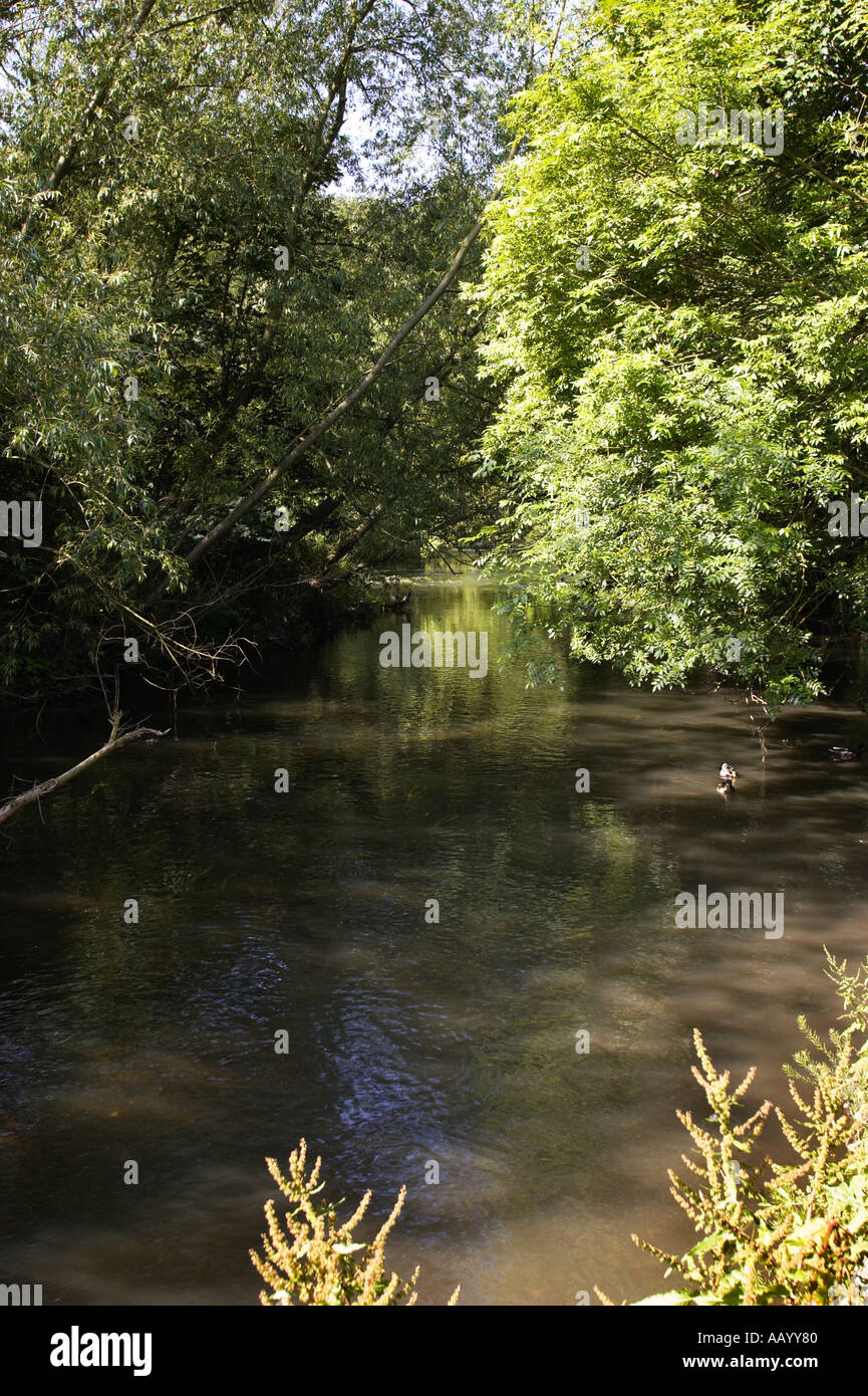River Mole Cobham Surrey UK Stock Photo Alamy