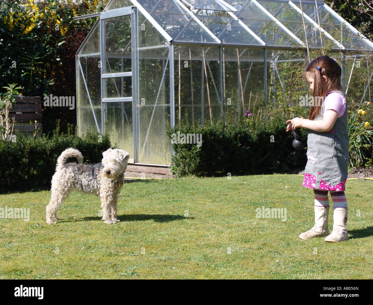 Little girl dog in garden hi-res stock photography and images - Alamy