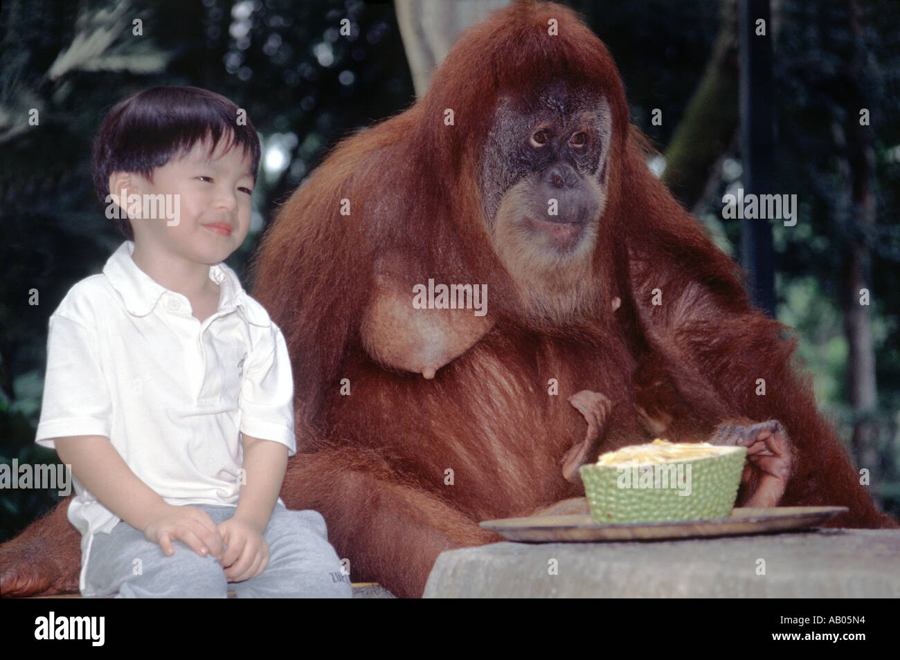 Singapore zoo breakfast hires stock photography and images Alamy