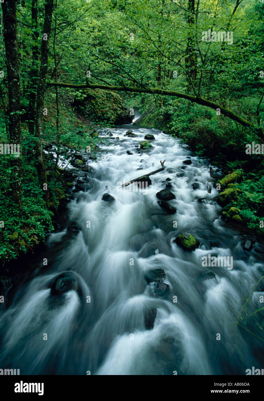 Mountain gorge river small hi-res stock photography and images - Alamy