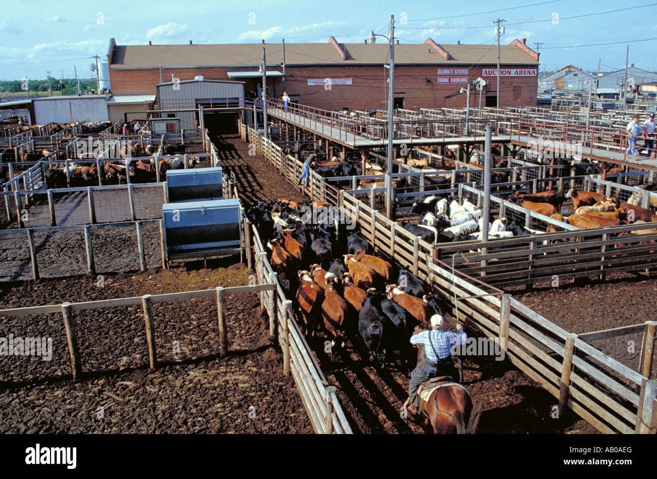 Oklahoma national stockyards, hires stock photography and images Alamy