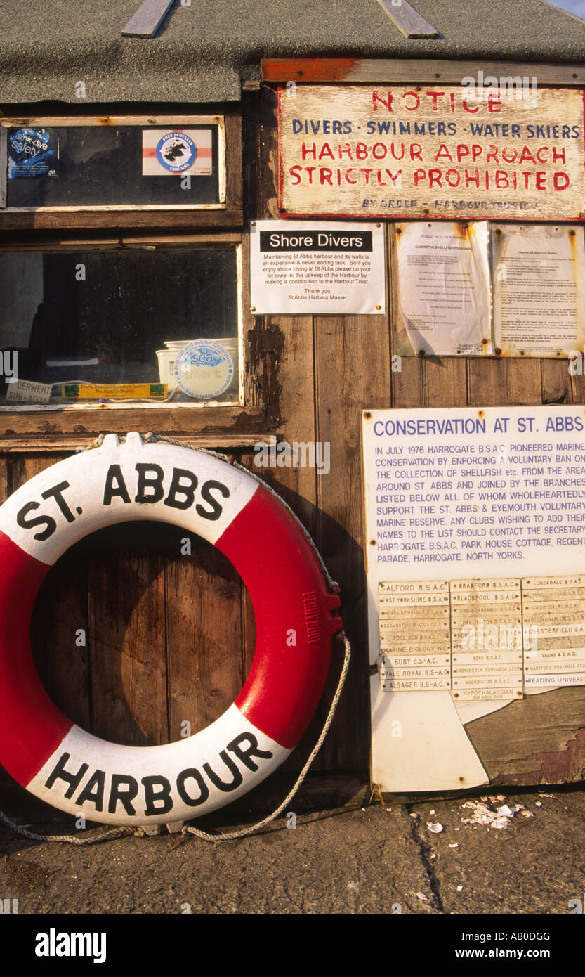 Dive st abbs hires stock photography and images Alamy