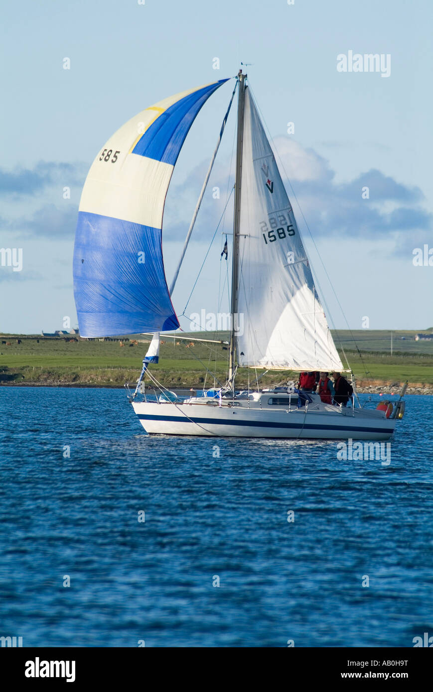 dh  KIRKWALL ORKNEY White and blue sail sailing club yacht in Kirkwall Bay cruising boat Stock Photo