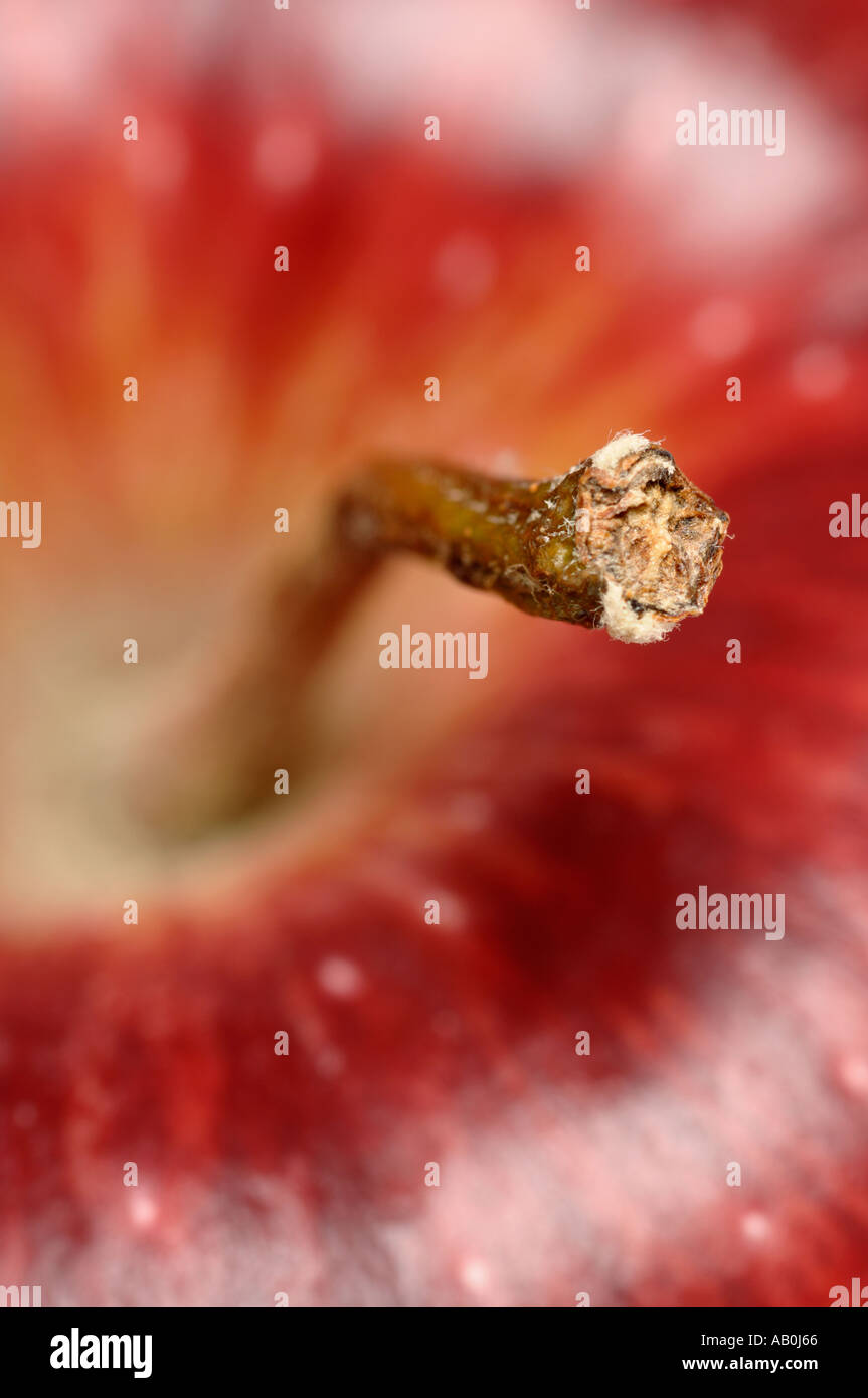 Red apple Stock Photo