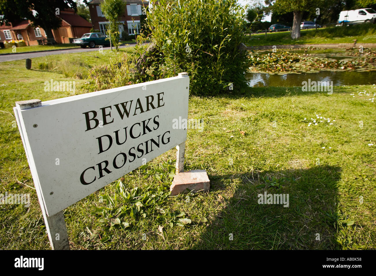 Ducks Crossing sign at Wisborough Green, West Sussex, England, UK Stock Photo