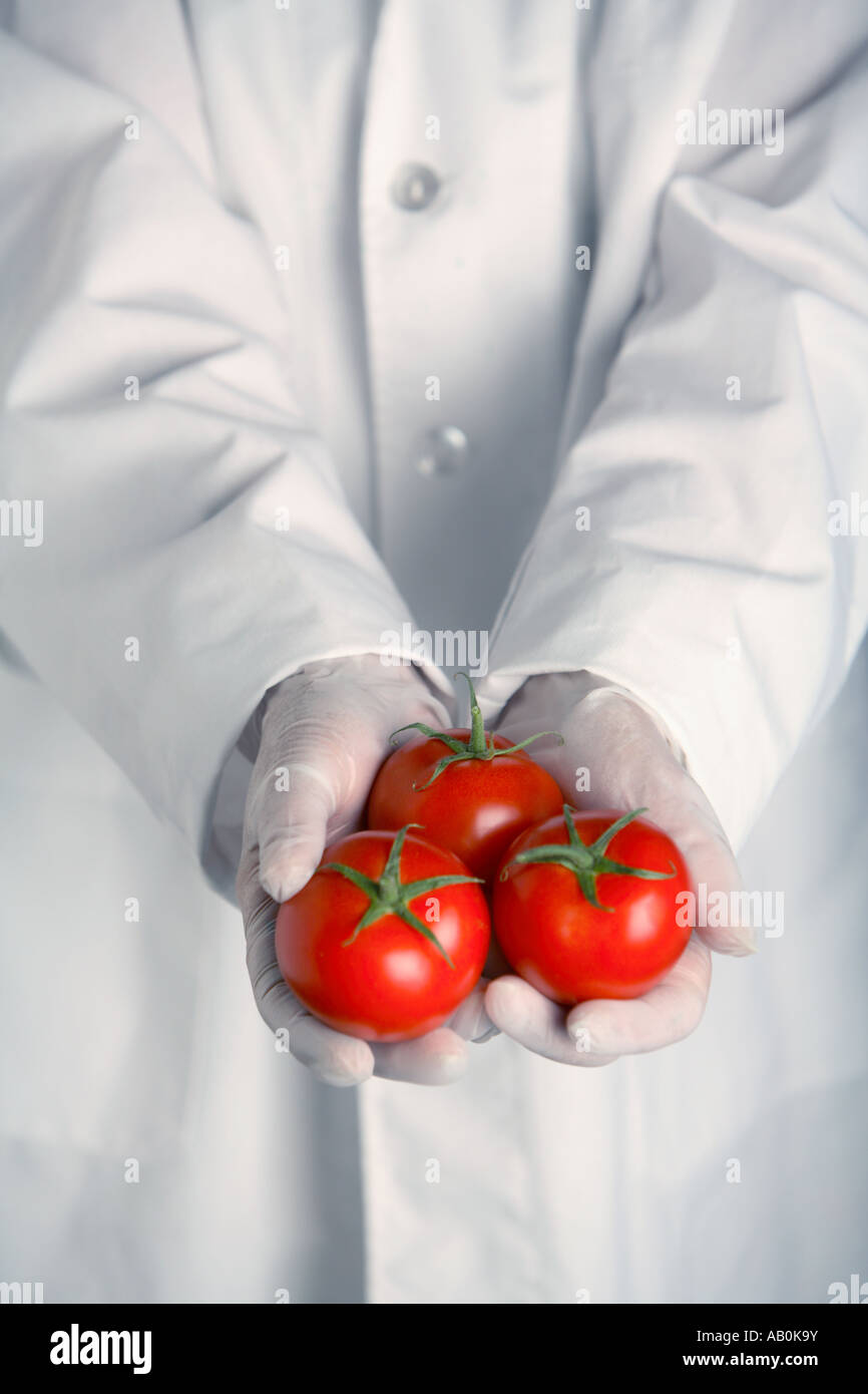Person in lab coat holds three tomatoes Stock Photo
